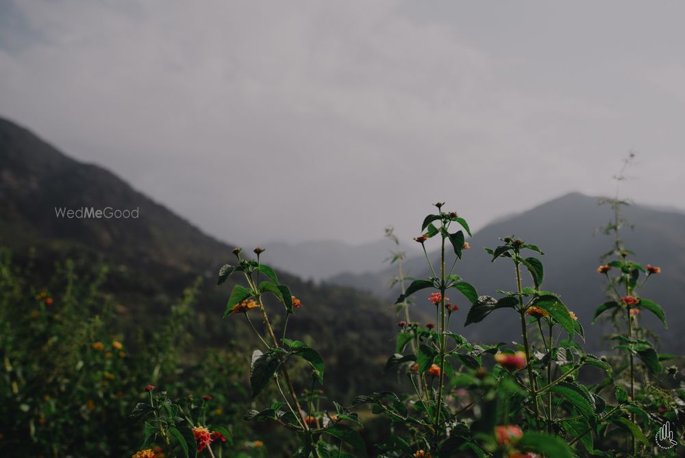 Photo From MANIL x  MANSI // DHARAMSHALA // WEDDING ALBUM - By Sab Moh Maya Hai