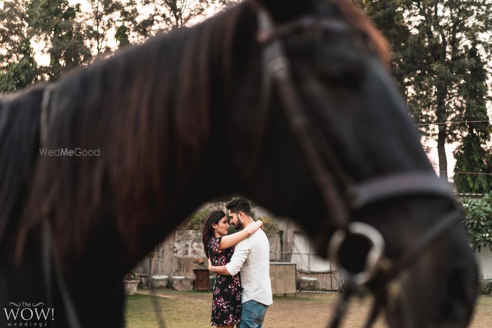 Photo From Shivani & Paras - Pre Wedding - By The Wow Weddings