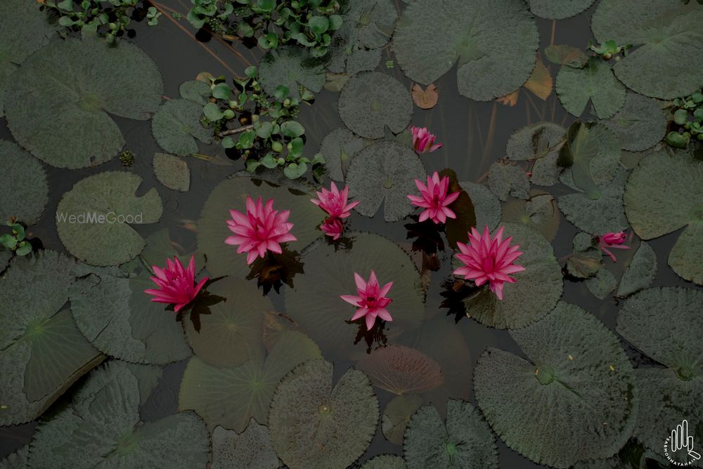 Photo From PRIYAH x ASHISH // ALLEPPEY // PHOTOSHOOT - By Sab Moh Maya Hai