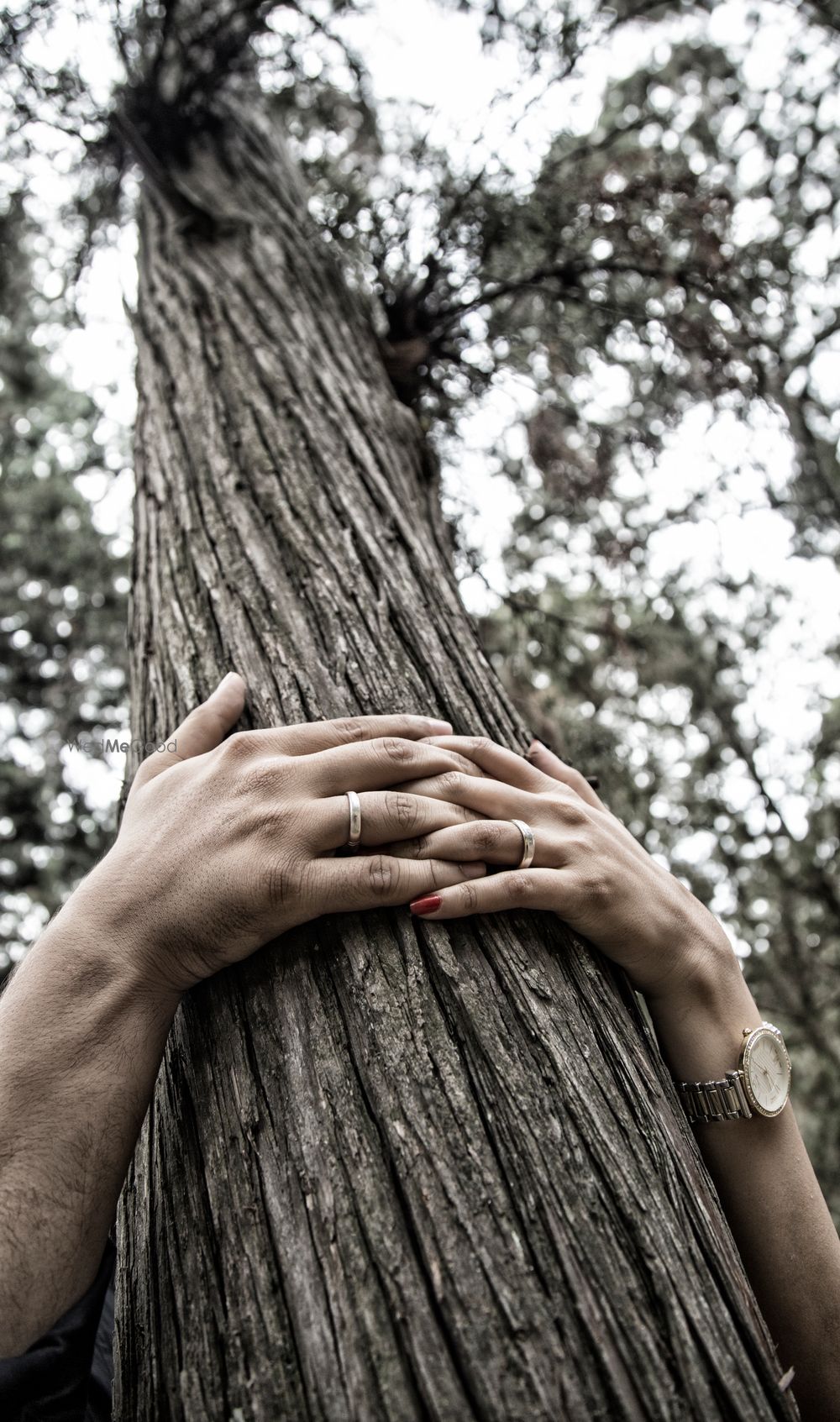 Photo From Pre Wedding - By Gautham Gopi Photography