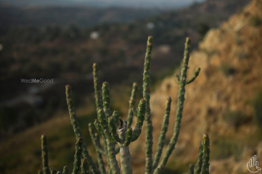 Photo From YASHIKA x VISHRUT // UDAIPUR // PHOTOSHOOT - By Sab Moh Maya Hai