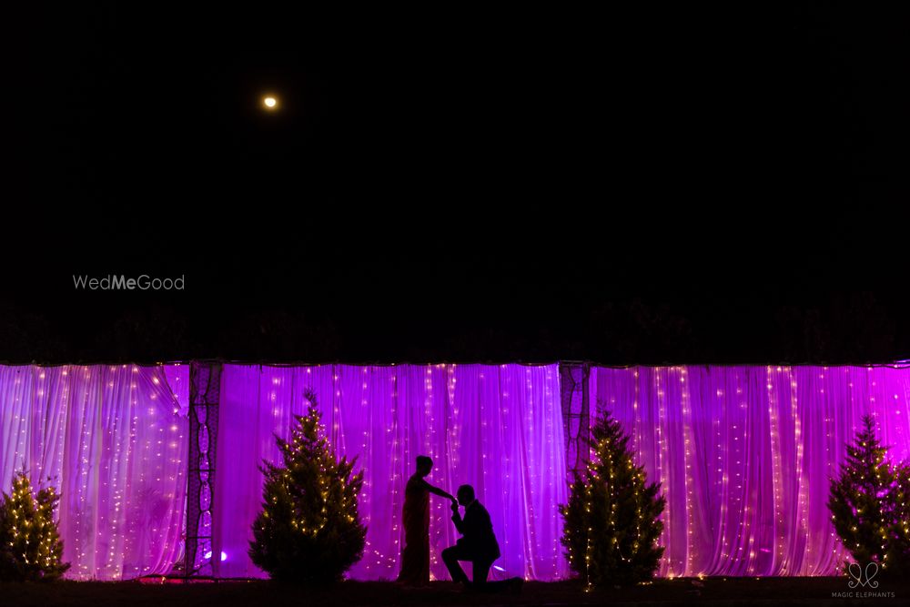 Photo From Namratha & Adi - By Magic Elephants