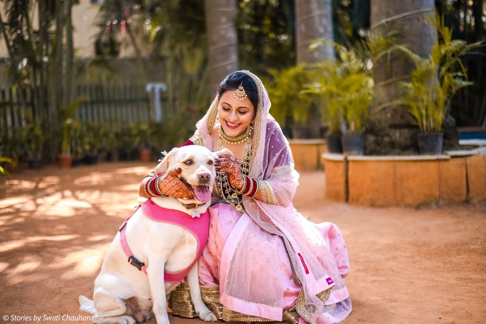 Photo of Adorable shot of a bride with a dog