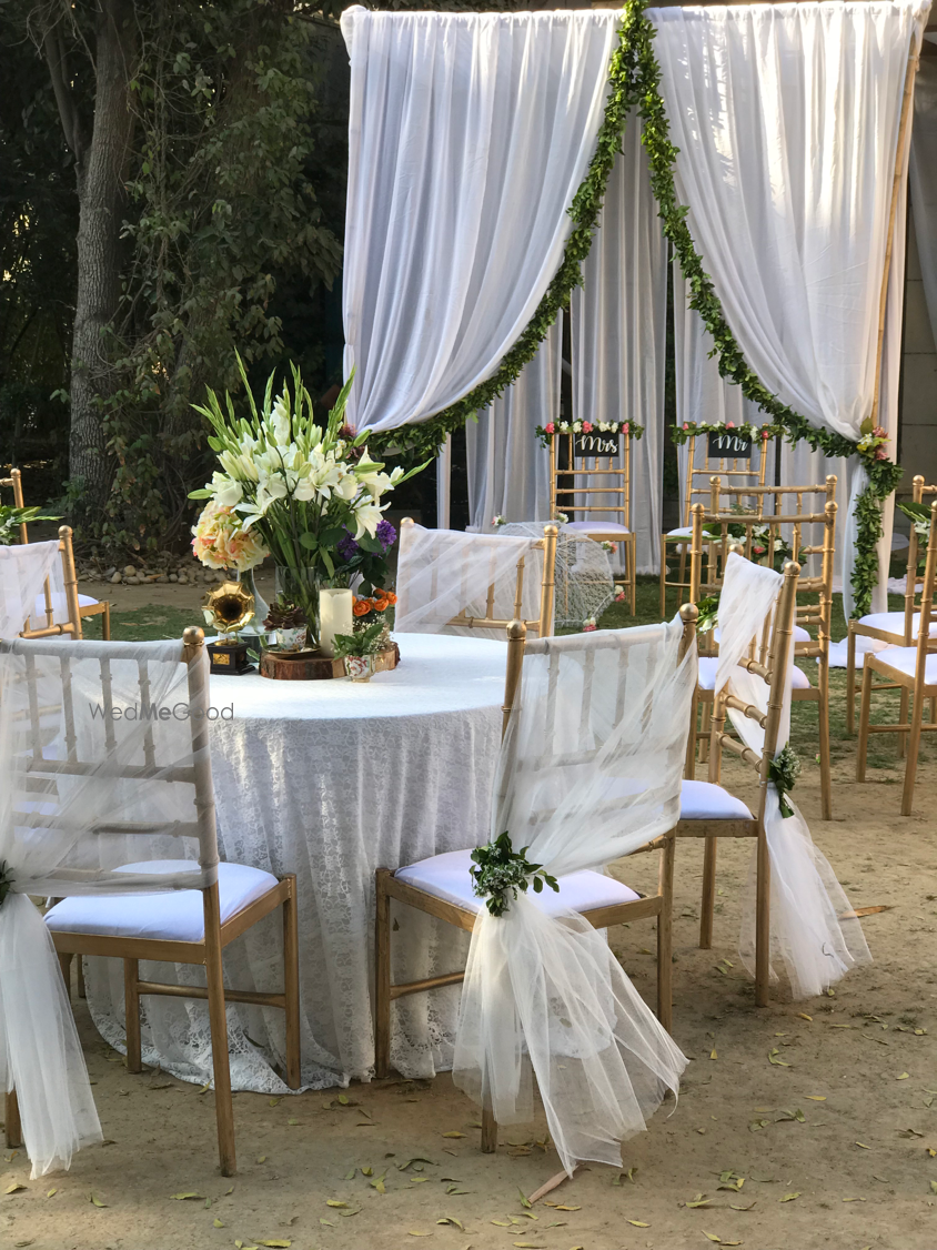 Photo From An Evening in the Wilderness - By Designer Events Inc.