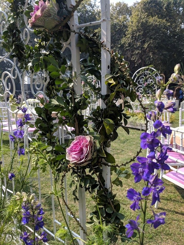 Photo From LAVENDER  * A Garden Soiree * - By Andevi