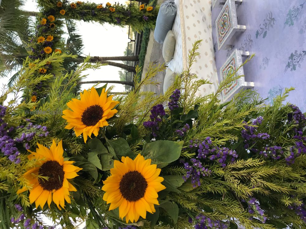 Photo From A Pocket Full of sunflowers - By Atisuto