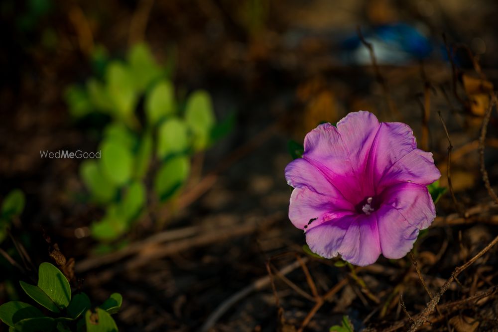 Photo From Pre- Wedding Shoots - By Infinite Art by Pradeep Sekar