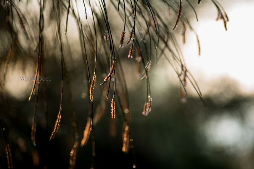 Photo From Pre- Wedding Shoots - By Infinite Art by Pradeep Sekar