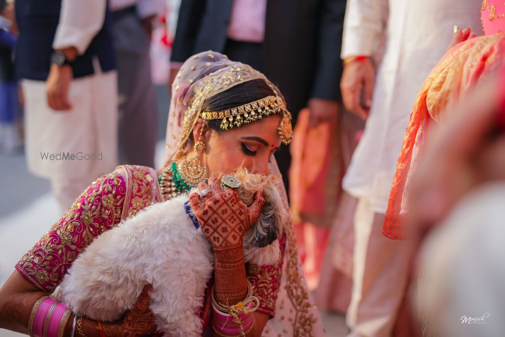 Photo of Bride on her wedding with a dog