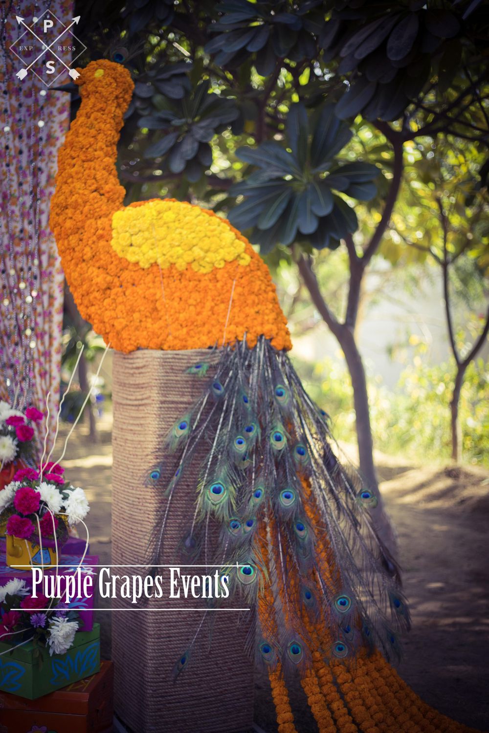 Photo From NRI mehandi celebrating - By Purple Grapes Weddings & Event Planner