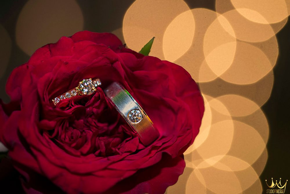Photo of Engagement Rings on Red Rose