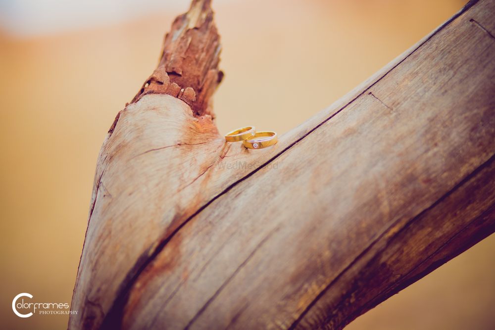 Photo of Engagement Rings on Wooden Bark