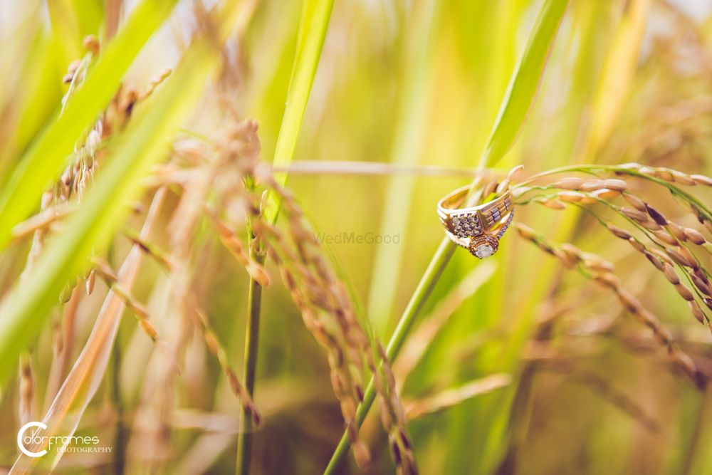 Photo of Engagement Rings on Crops