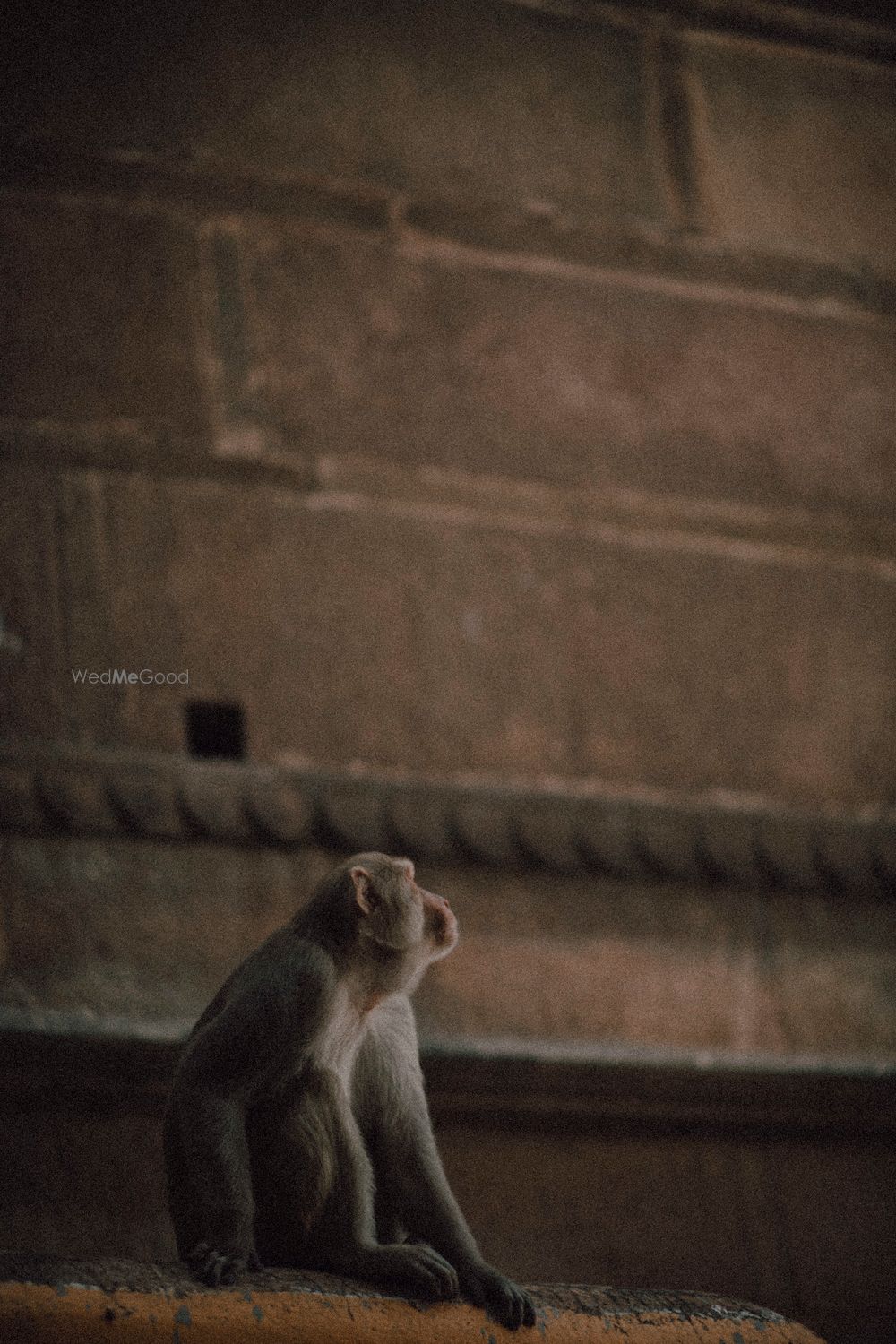 Photo From Somoshree & Debayan (Varanasi Love Session) - By Like Old Wine Films