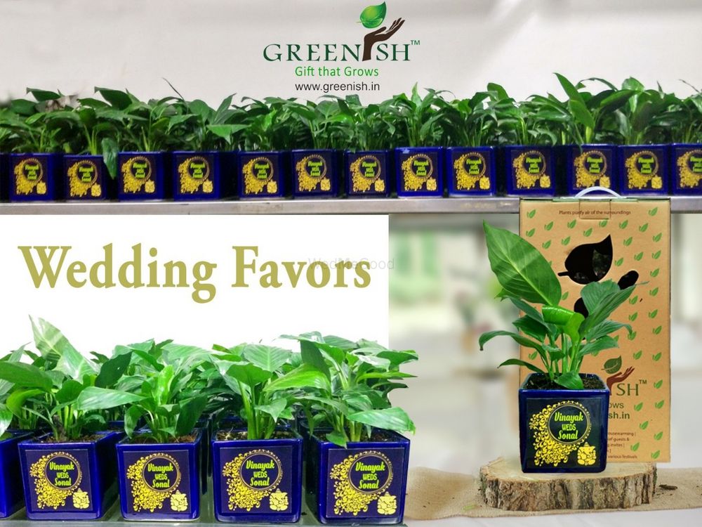 Photo From Wedding Green Giveaways - By Greenish