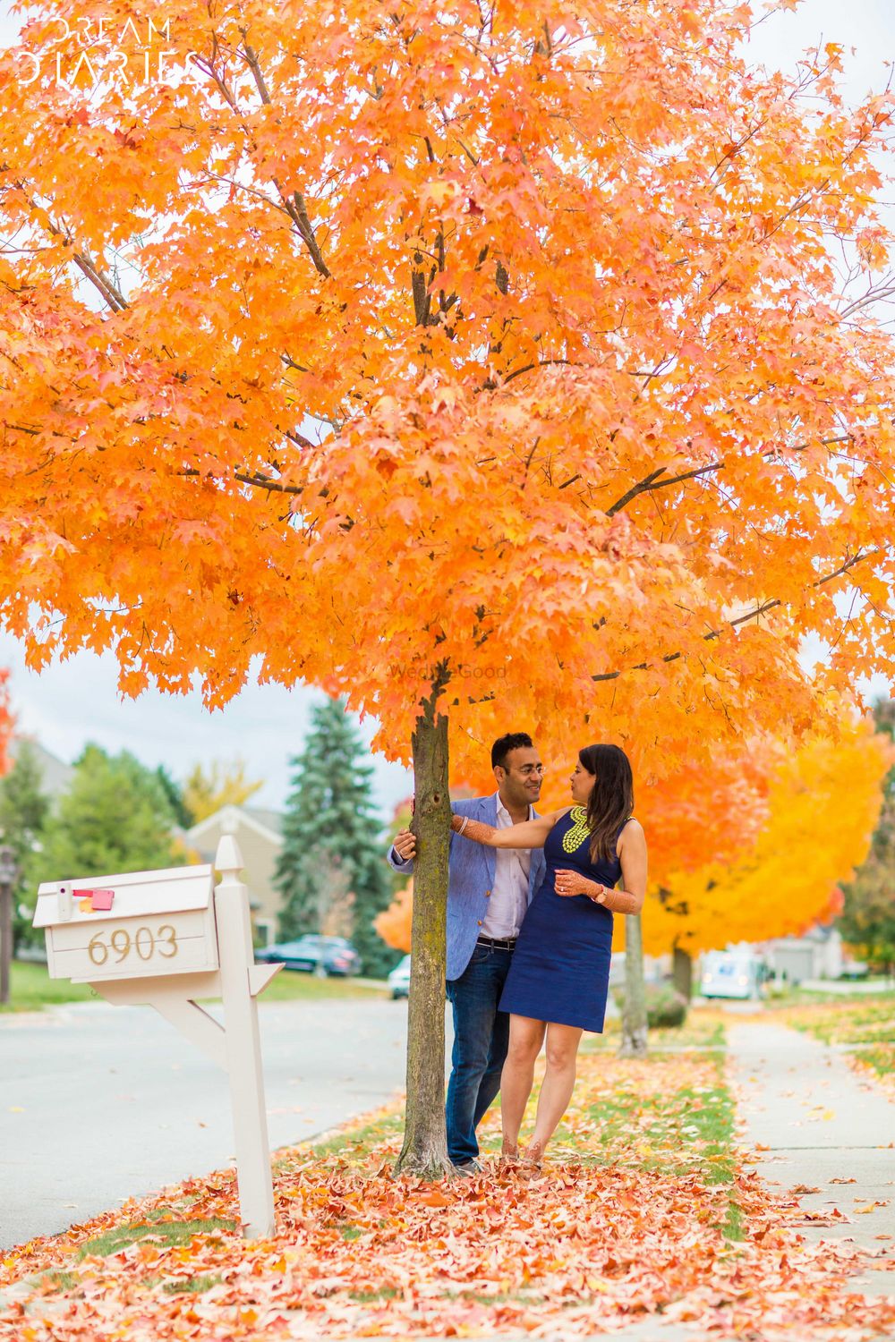Photo of Orange autumn tree pre wedding shoot