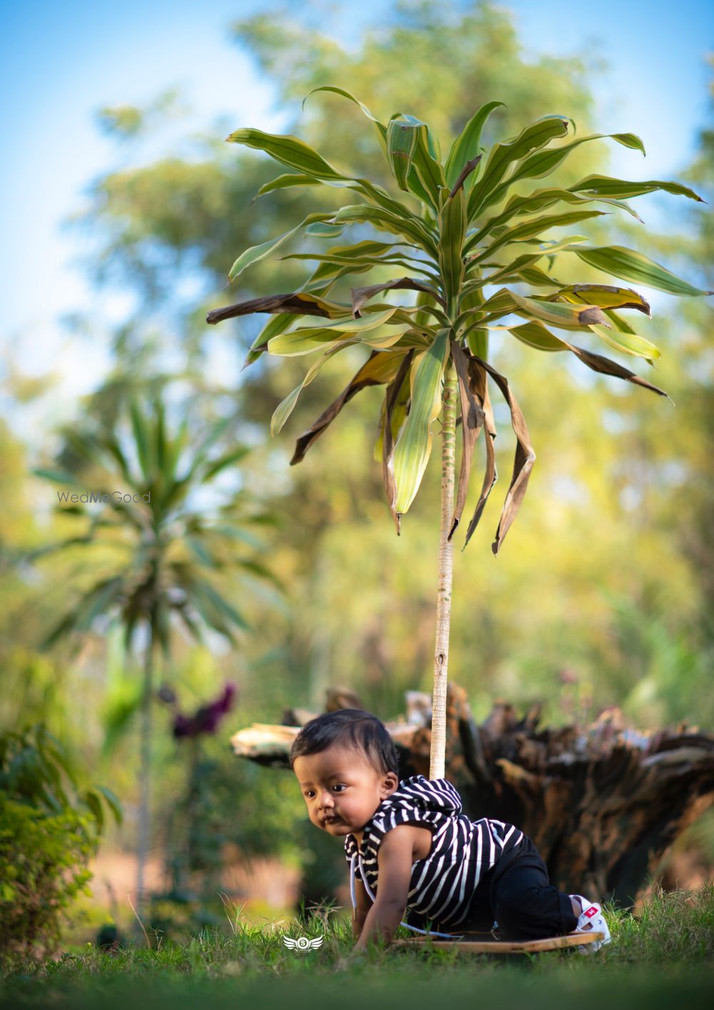 Photo From Baby Shoot - By Sinha's Photography