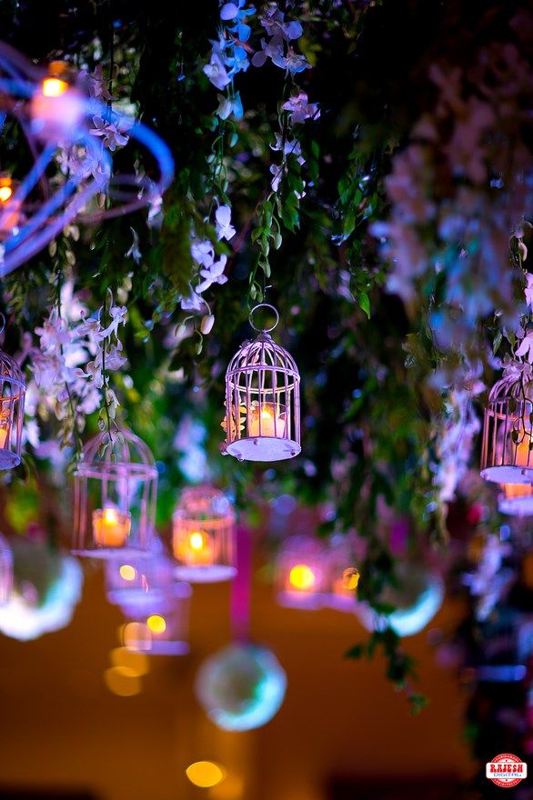 Photo of Hanging Bird Cage Props