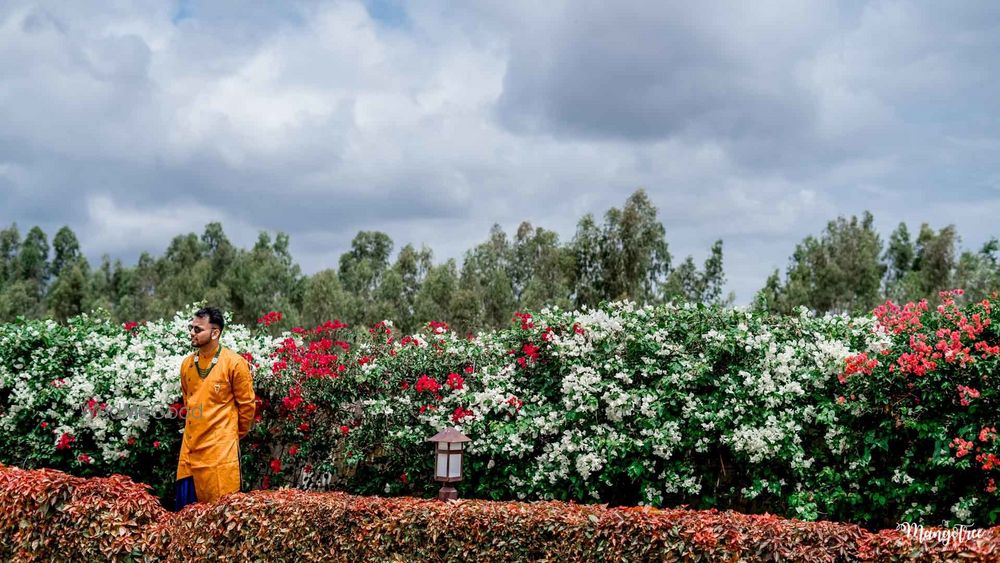 Photo From HALDI IN BENGALURU - By Mangotree Photography