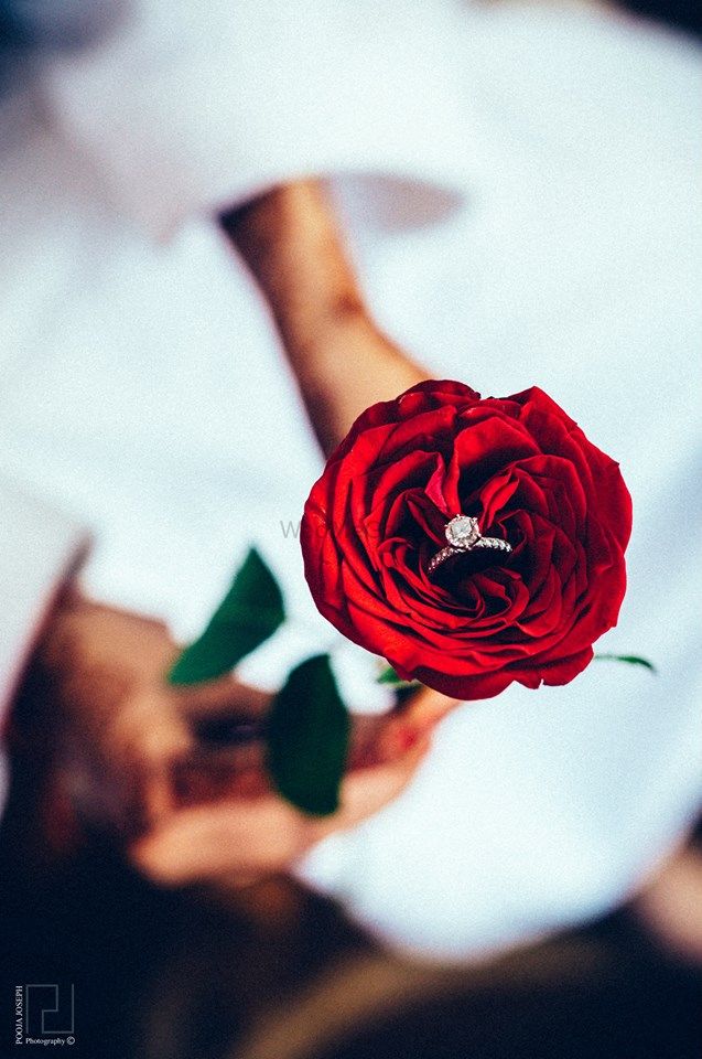 Photo of Engagement Diamond Ring on a Rose Shot