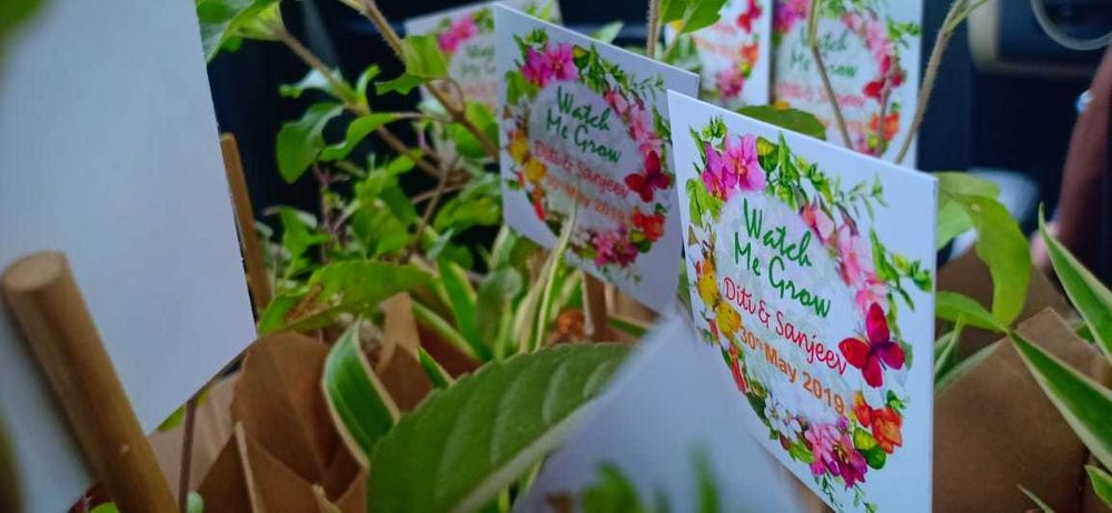 Photo of plants with notes as wedding favours