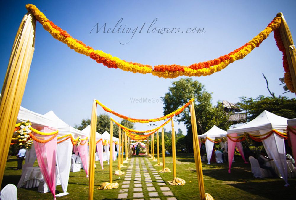 Photo From Marigold Concepts  - By Firefly Productions & Events