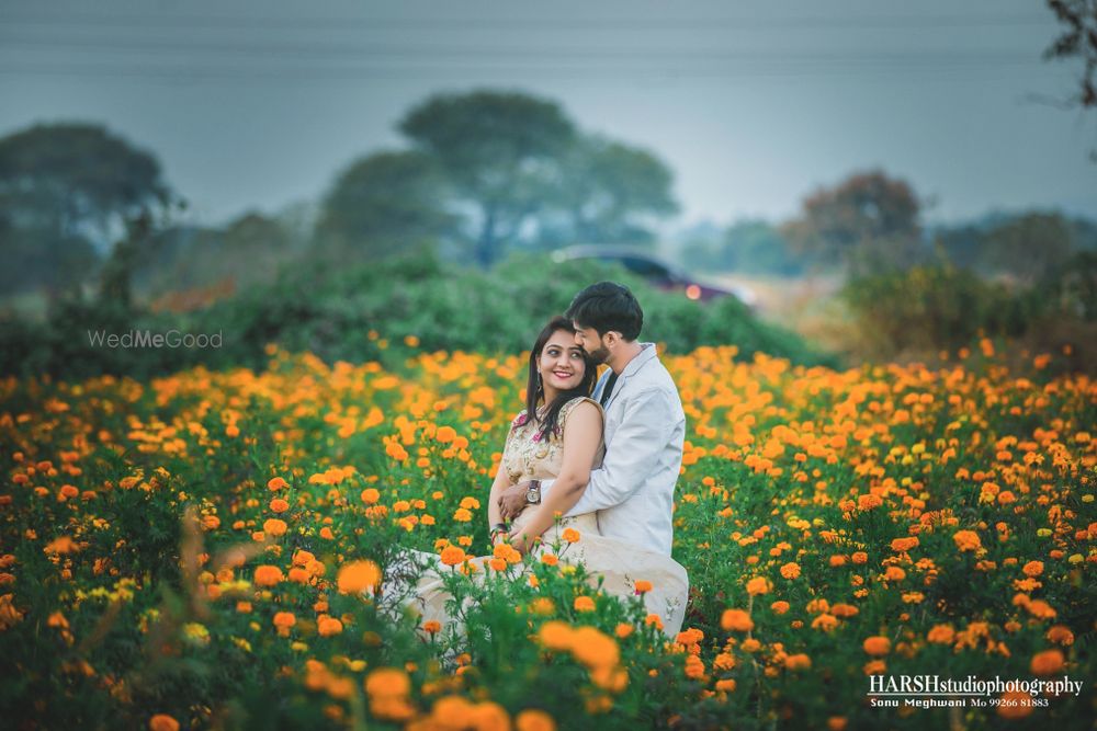 Photo From PRE WEDDING - By Harsh Studio Photography