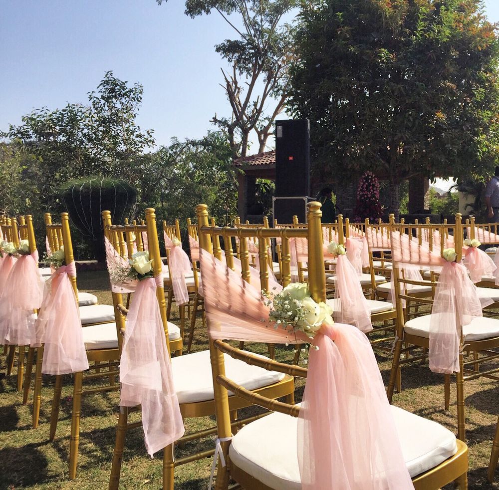 Photo of Gold Seating with Baby Pink Chairbacks