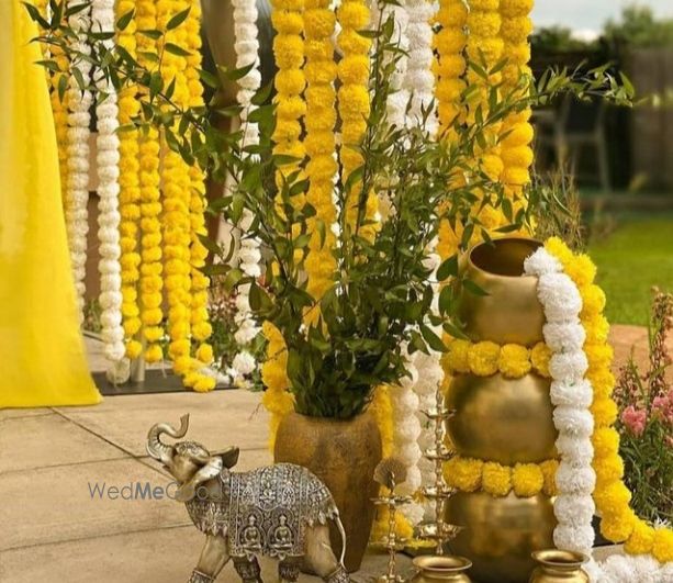 Photo From HALDI & MEHENDI SET-UP - By Shaadi Sutra