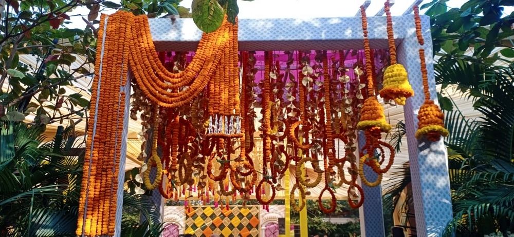 Photo From haldi come with cocktail  - By Meadow Decor