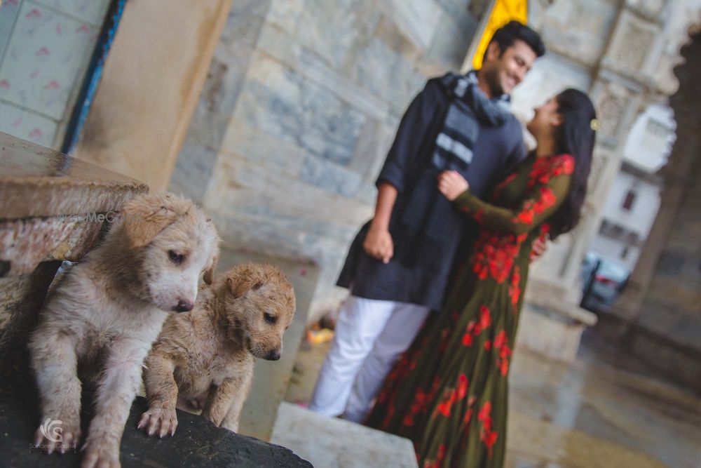 Photo of pre-wedding shoot with dogs