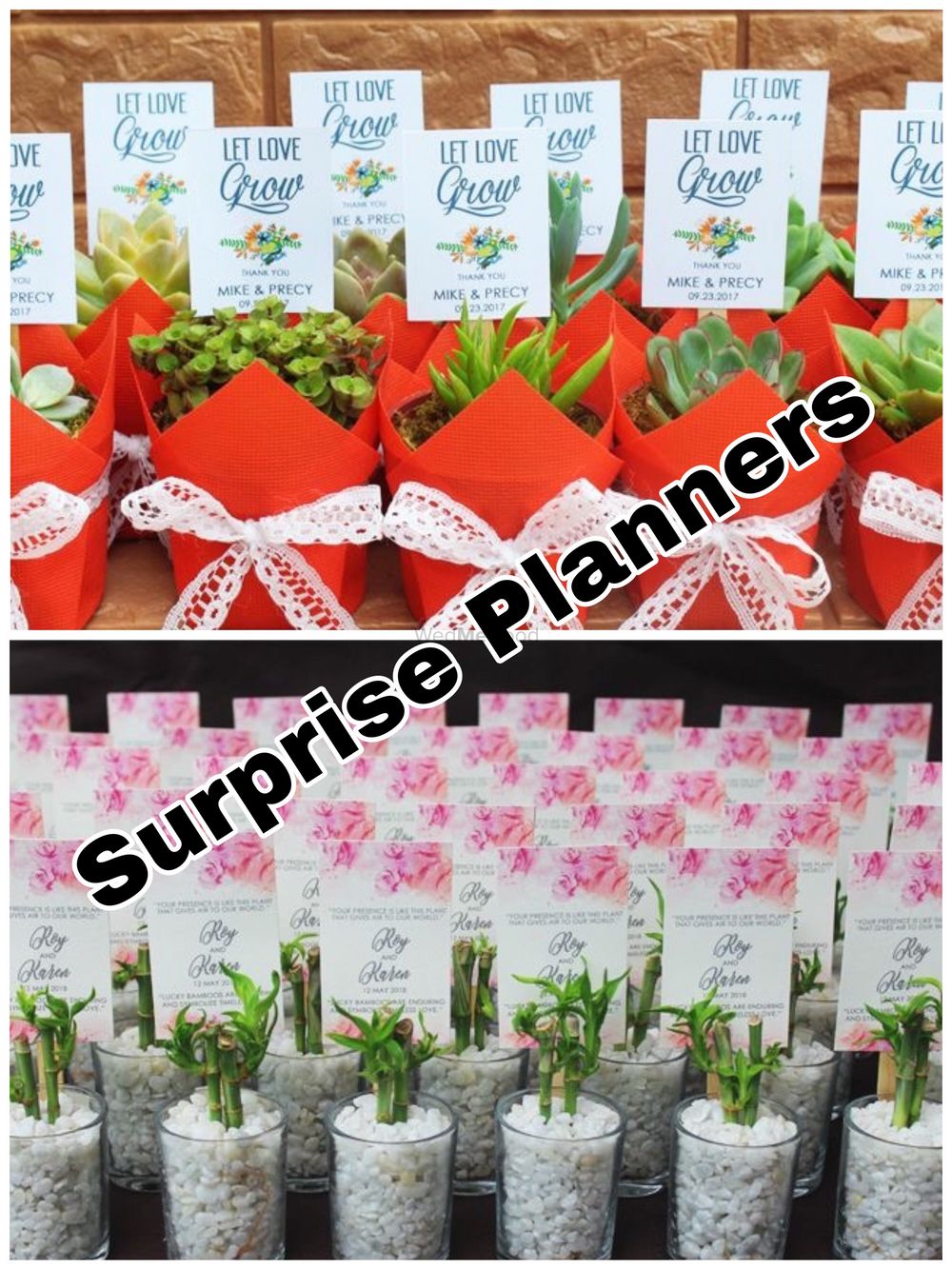 Photo From Planters - By Surprise Planners