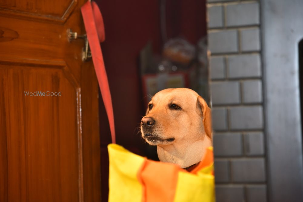 Photo From Kritika & Ashish - By Pratham Photowala