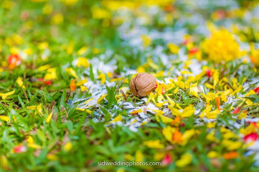 Photo From Goa Haldi Mayhem - By Sid Wedding Photos