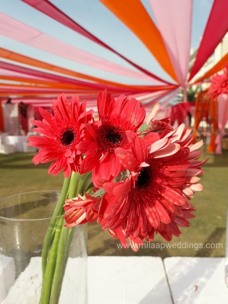Photo From Pinky Ponky Floral Mehendi - By Milaap Weddings