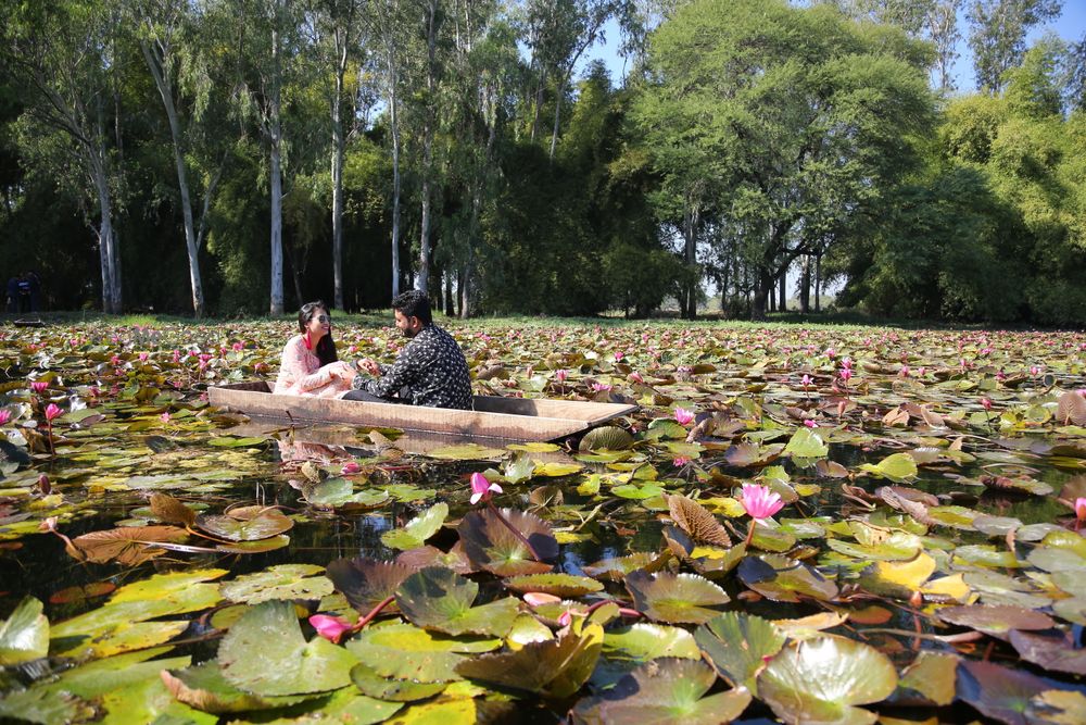 Photo From Anuj & Shivin prewedding pictures - By Dimension Pictures