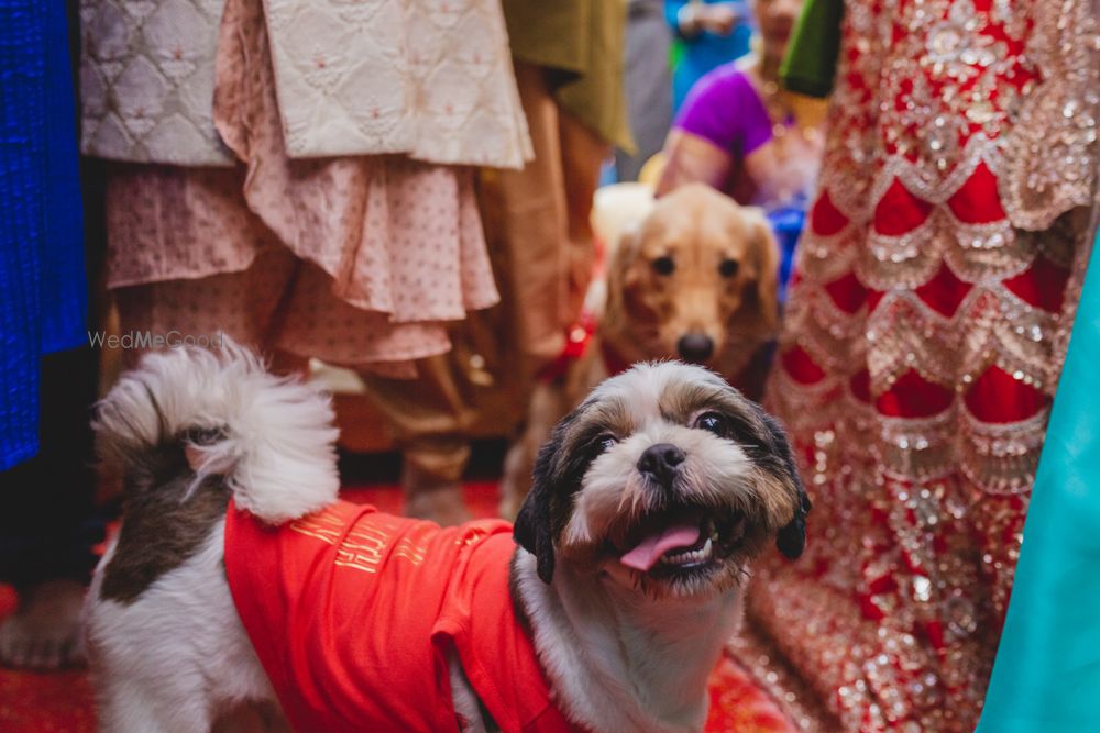 Photo From Nikhita + Rohan (Wedding Ceremony)  - By Clicksunlimited Photography