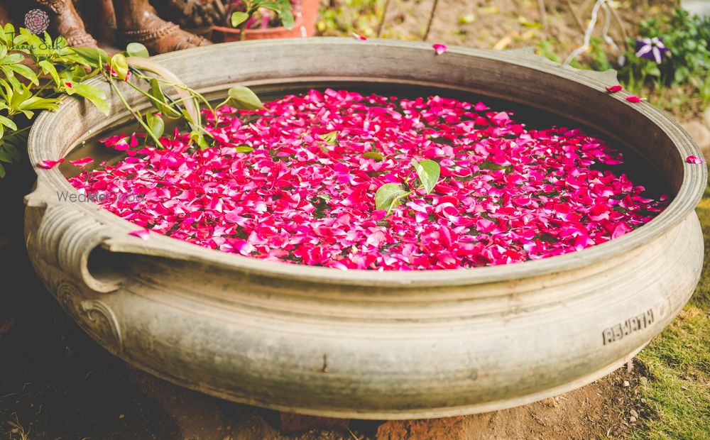 Photo of Floating Rose Petals Arrangement