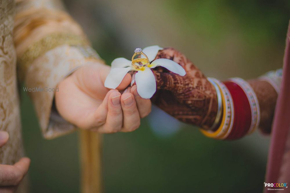 Photo From Garima & Ryan | Sikh Wedding - By Procolor