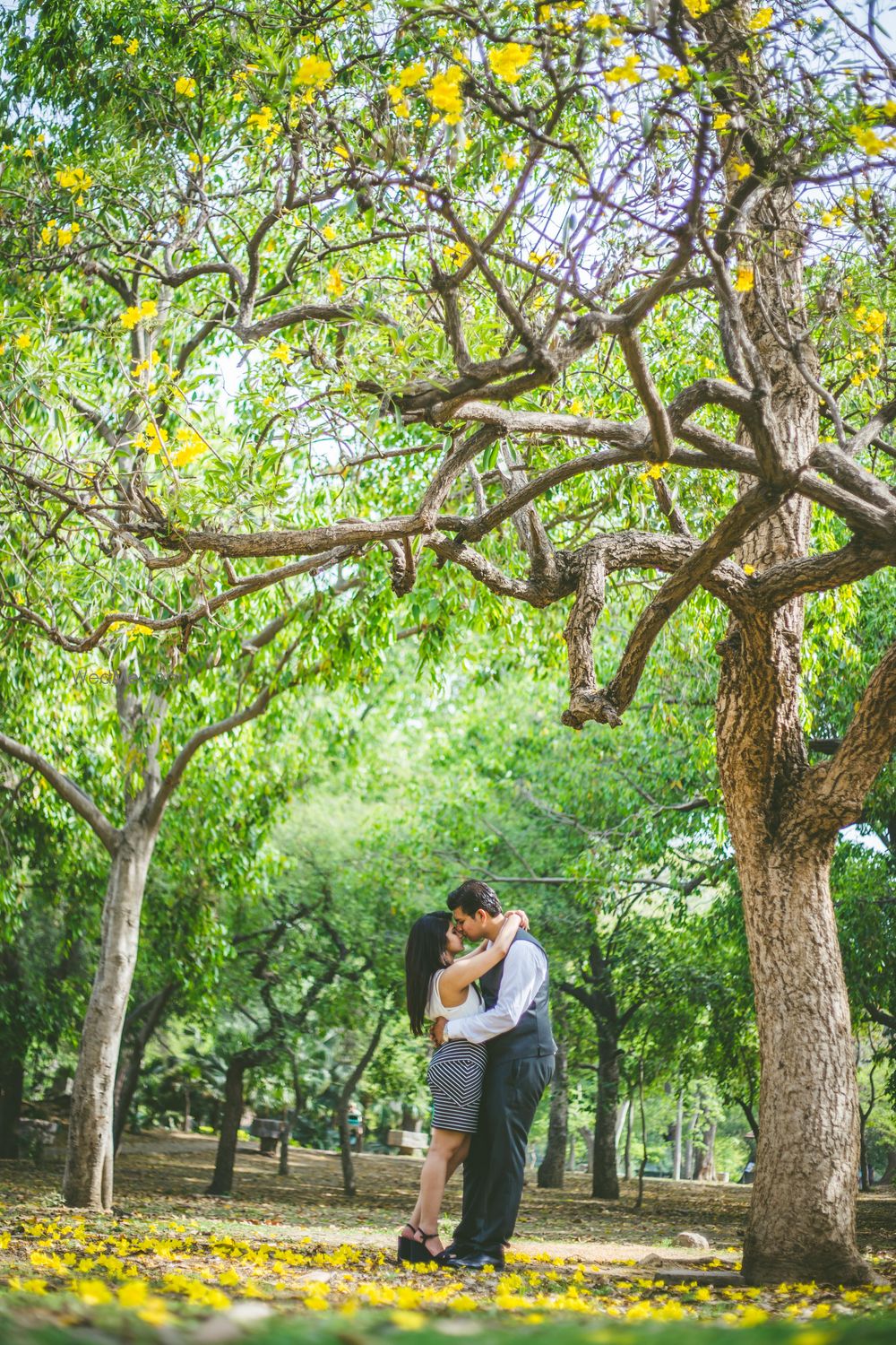 Photo From Dipesh and Richa Pre wedding - By Studio 4 