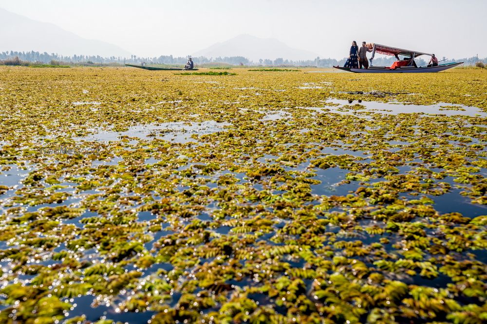 Photo From Sabreen & Tawheed - Couple Shoot at Dal Lake, Kashmir - By Weddings by Ananya Rijhwani