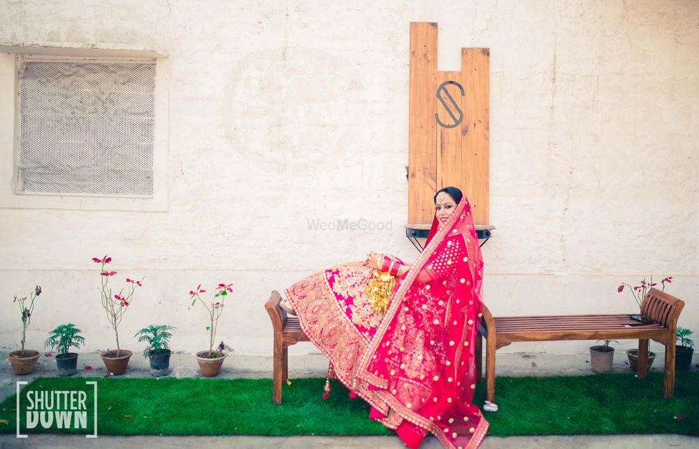 Photo of Hot Pink Bride on a Bench Shot