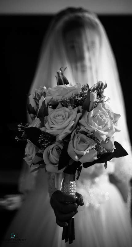 Photo From Elizabeth + Rishan - By SnappStory Photography & Films