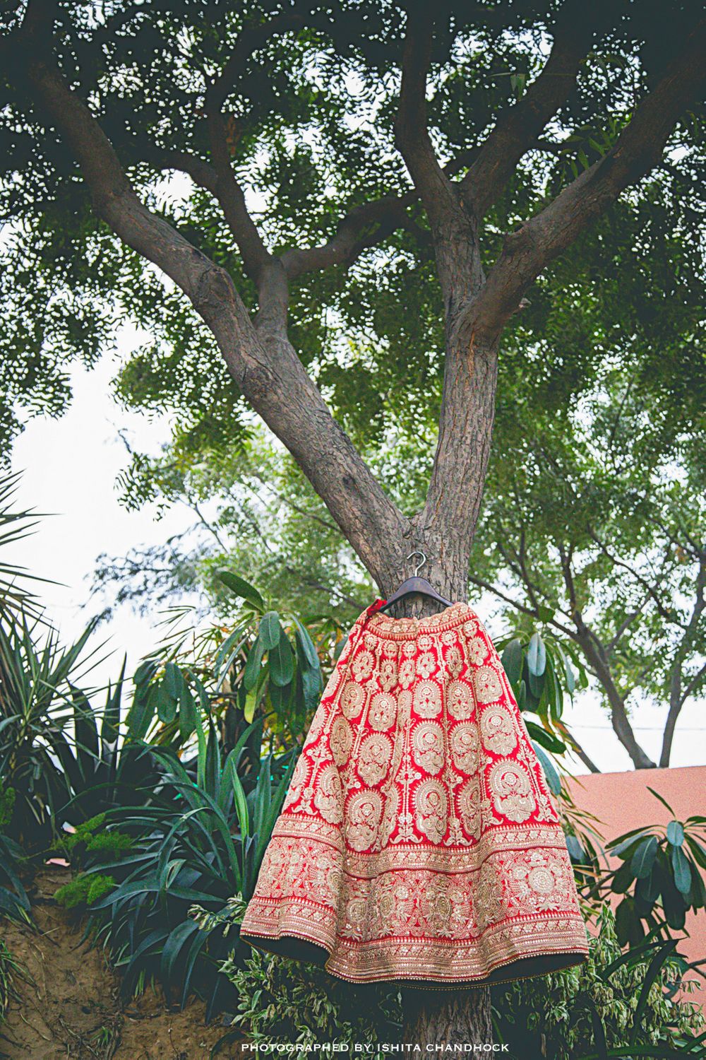 Photo of Red Lehenga with Gold Zardozi Work on Hanger on Tree