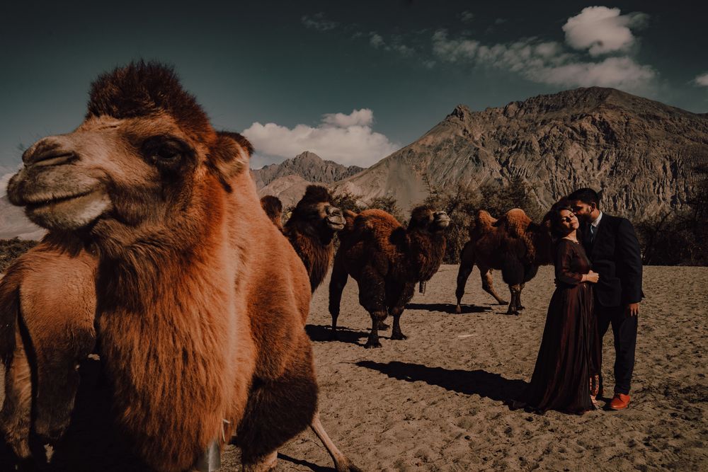 Photo From Leh-Ladakh pre wedding - By Kodoclicker