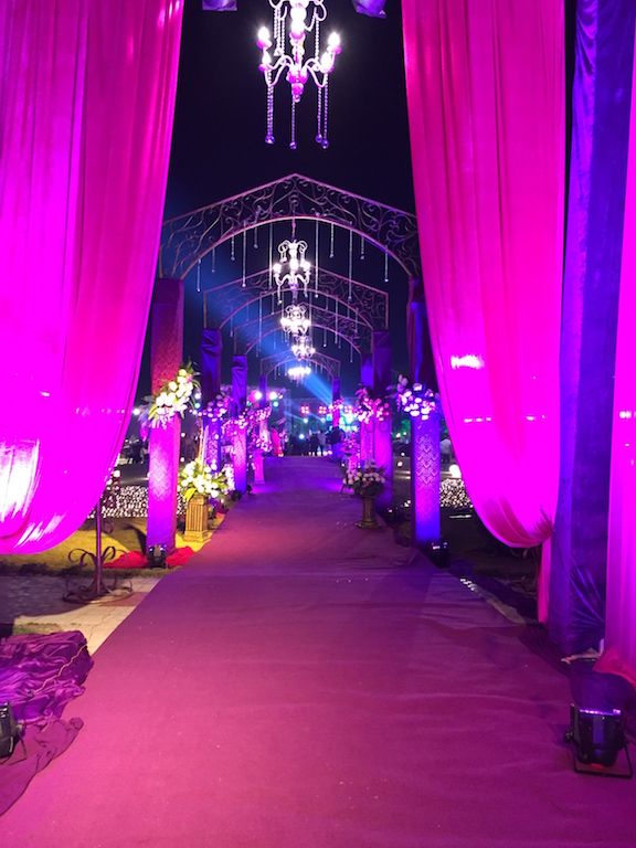 Photo From Theme Purple ( Not that Typical shaadi colors ;) - By Country Farms
