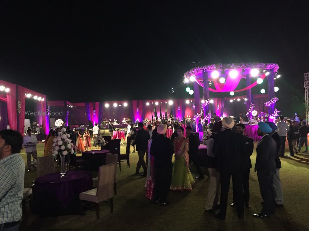 Photo From Theme Purple ( Not that Typical shaadi colors ;) - By Country Farms