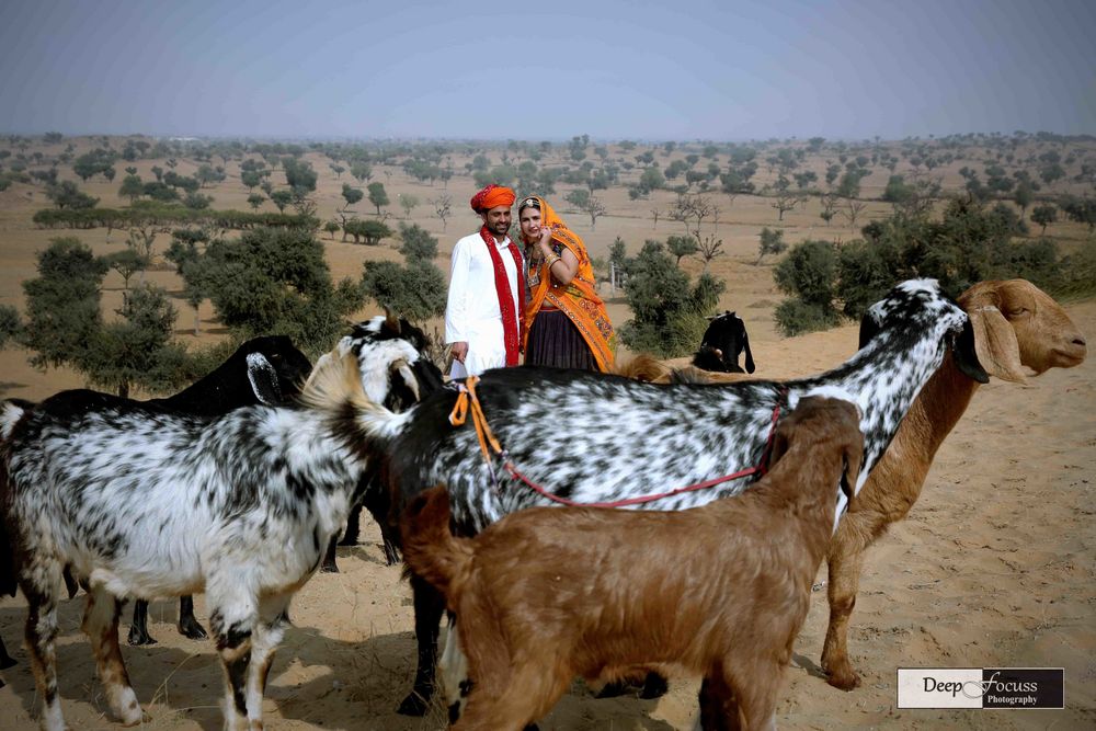 Photo From Prewedding in Rajasthan - By Deep Focuss Photography