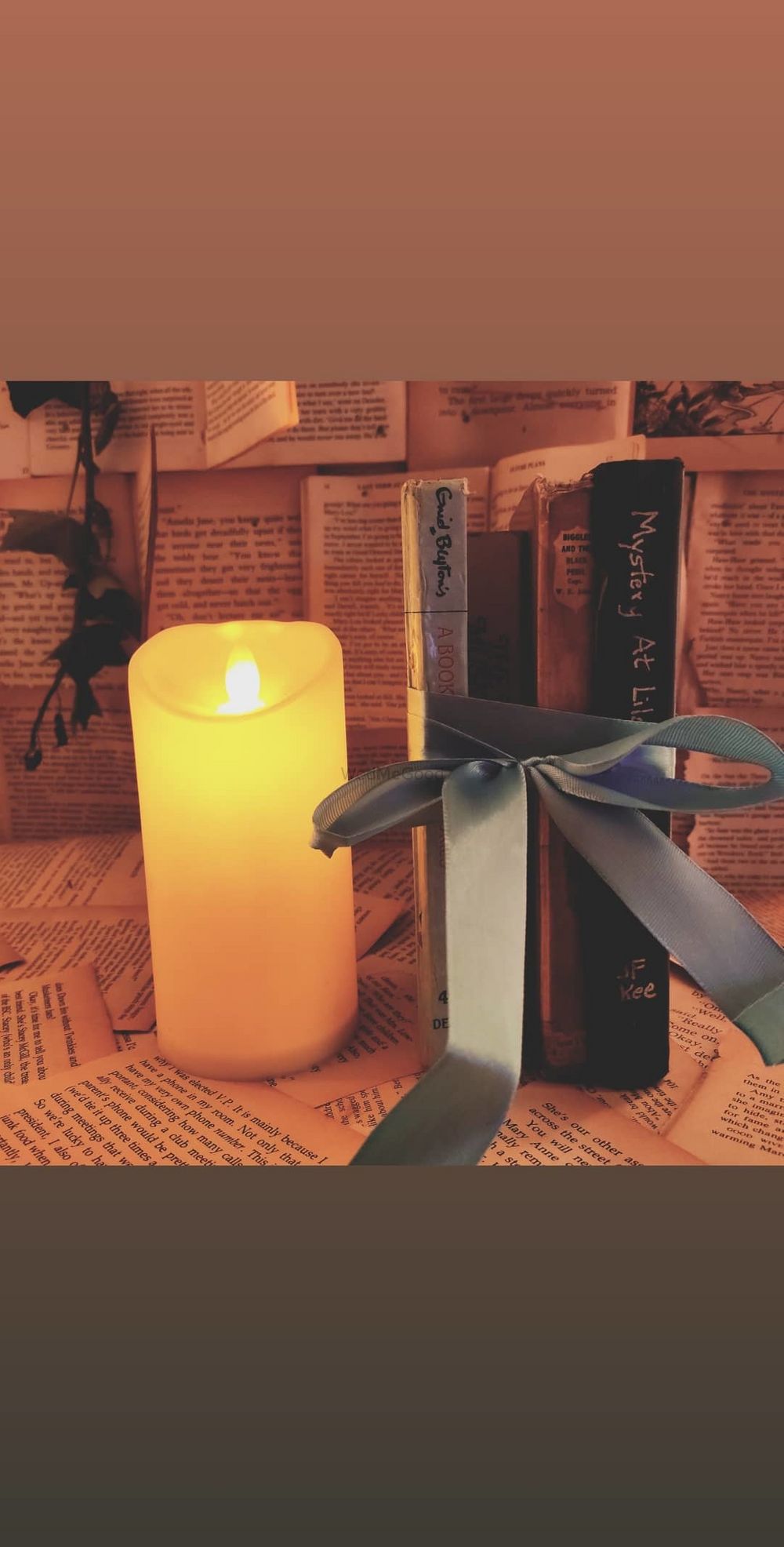 Photo From A Bookworm's Dream - By Samaritan Events