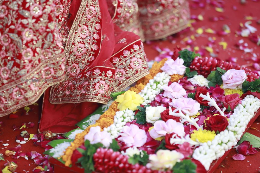 Photo From MY WORK - By Amazing Photo's